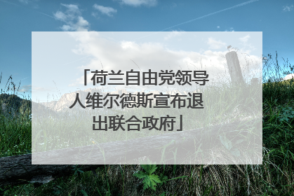 荷兰自由党领导人维尔德斯宣布退出联合政府
