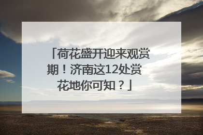 荷花盛开迎来观赏期！济南这12处赏花地你可知？