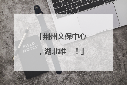 荆州文保中心，湖北唯一！