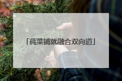 莼菜铺就融合双向道