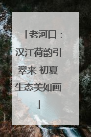 老河口：汉江荷韵引翠来 初夏生态美如画