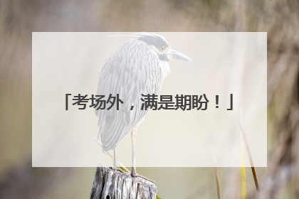 考场外，满是期盼！