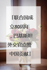 联合国成立80周年，巴基斯坦外交官点赞中国贡献