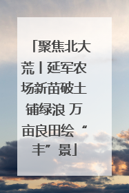 聚焦北大荒丨延军农场新苗破土铺绿浪 万亩良田绘“丰”景