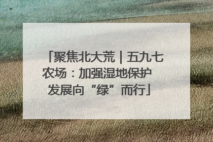 聚焦北大荒｜五九七农场：加强湿地保护 发展向“绿”而行