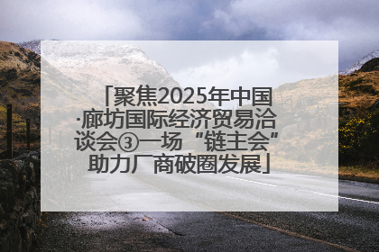 聚焦2025年中国·廊坊国际经济贸易洽谈会③一场“链主会” 助力厂商破圈发展