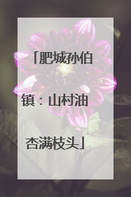 肥城孙伯镇：山村油杏满枝头