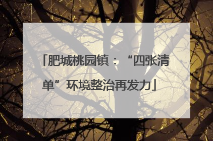 肥城桃园镇：“四张清单”环境整治再发力