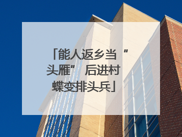 能人返乡当“头雁” 后进村蝶变排头兵