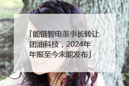 能链智电董事长转让团油科技，2024年年报至今未能发布