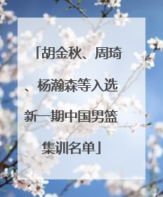 胡金秋、周琦、杨瀚森等入选新一期中国男篮集训名单