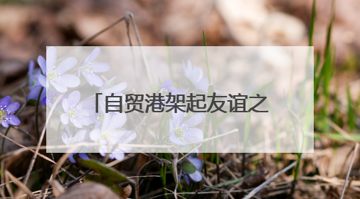 自贸港架起友谊之桥 中美青少年海南开启文化对话之旅