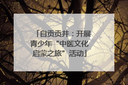 自贡贡井：开展青少年“中医文化启蒙之旅”活动