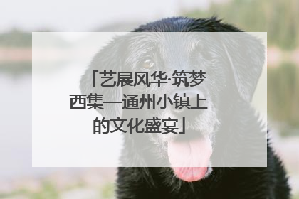 艺展风华·筑梦西集—通州小镇上的文化盛宴