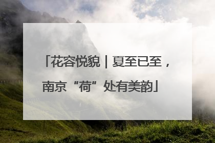 花容悦貌｜夏至已至，南京“荷”处有美韵