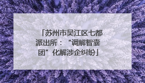 苏州市吴江区七都派出所：“调解智囊团”化解涉企纠纷