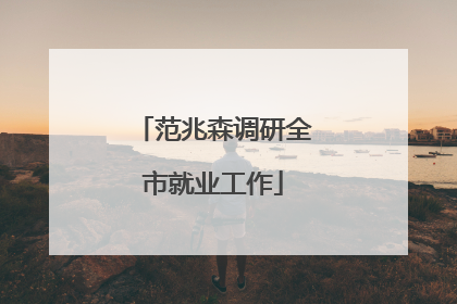 范兆森调研全市就业工作