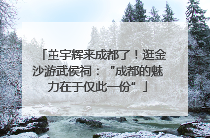 董宇辉来成都了！逛金沙游武侯祠：“成都的魅力在于仅此一份”