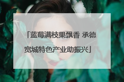 蓝莓满枝果飘香 承德宽城特色产业助振兴