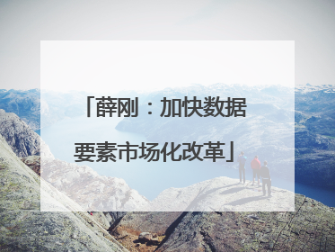 薛刚：加快数据要素市场化改革