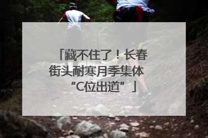 藏不住了！长春街头耐寒月季集体“C位出道”