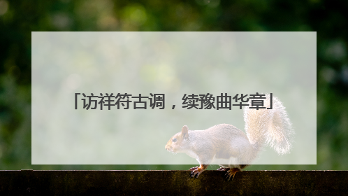 访祥符古调，续豫曲华章
