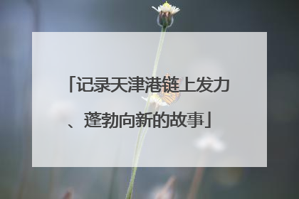 记录天津港链上发力、蓬勃向新的故事