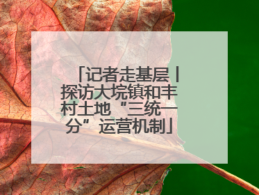 记者走基层丨探访大垸镇和丰村土地“三统一分”运营机制