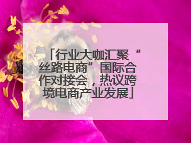 行业大咖汇聚“丝路电商”国际合作对接会，热议跨境电商产业发展