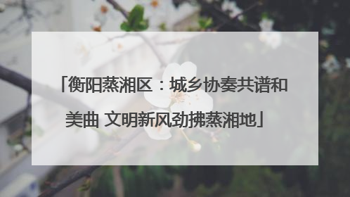 衡阳蒸湘区：城乡协奏共谱和美曲 文明新风劲拂蒸湘地