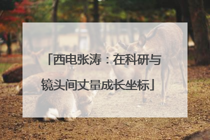 西电张涛：在科研与镜头间丈量成长坐标