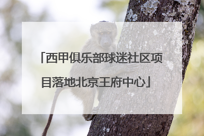西甲俱乐部球迷社区项目落地北京王府中心