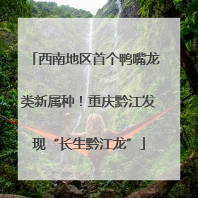 西南地区首个鸭嘴龙类新属种！重庆黔江发现“长生黔江龙”