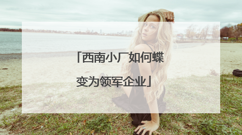 西南小厂如何蝶变为领军企业