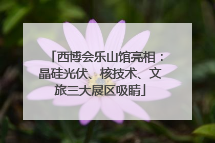 西博会乐山馆亮相：晶硅光伏、核技术、文旅三大展区吸睛