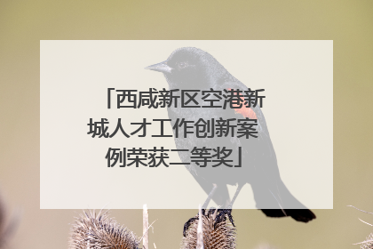 西咸新区空港新城人才工作创新案例荣获二等奖
