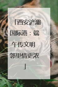 西安浐灞国际港：端午传文明 邻里情更浓