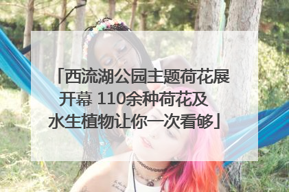 西流湖公园主题荷花展开幕 110余种荷花及水生植物让你一次看够