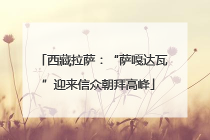西藏拉萨：“萨嘎达瓦”迎来信众朝拜高峰