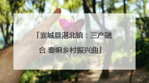 襄城县湛北镇：三产融合 奏响乡村振兴曲