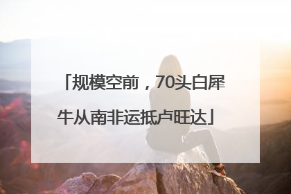 规模空前，70头白犀牛从南非运抵卢旺达