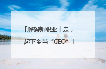 解码新职业丨走，一起下乡当“CEO”