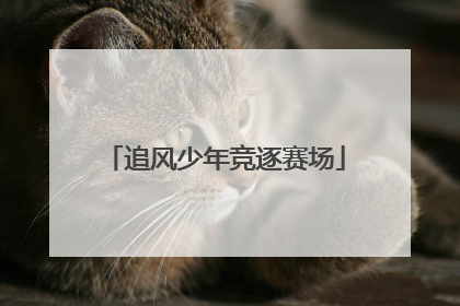 追风少年竞逐赛场