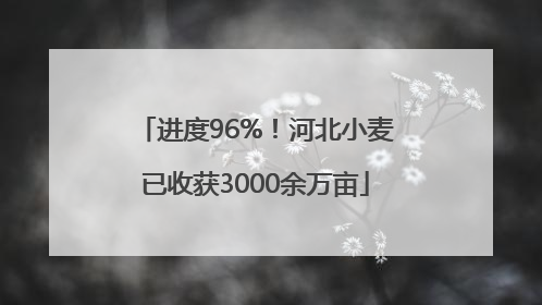 进度96%！河北小麦已收获3000余万亩