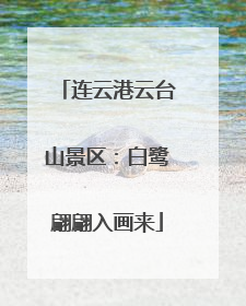 连云港云台山景区：白鹭翩翩入画来