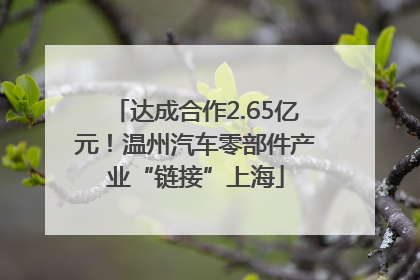 达成合作2.65亿元！温州汽车零部件产业“链接”上海