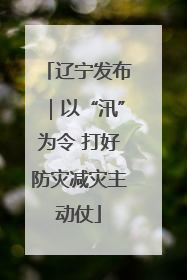 辽宁发布｜以“汛”为令 打好防灾减灾主动仗