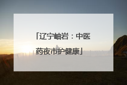 辽宁岫岩：中医药夜市护健康
