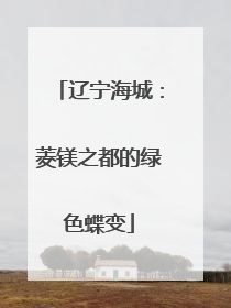 辽宁海城：菱镁之都的绿色蝶变