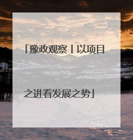 豫政观察丨以项目之进看发展之势